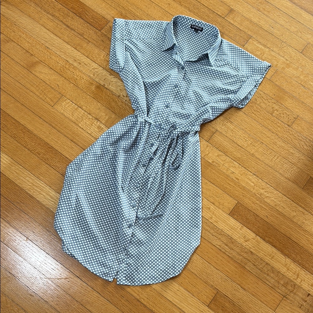 Express Blue Patterned Midi Dress